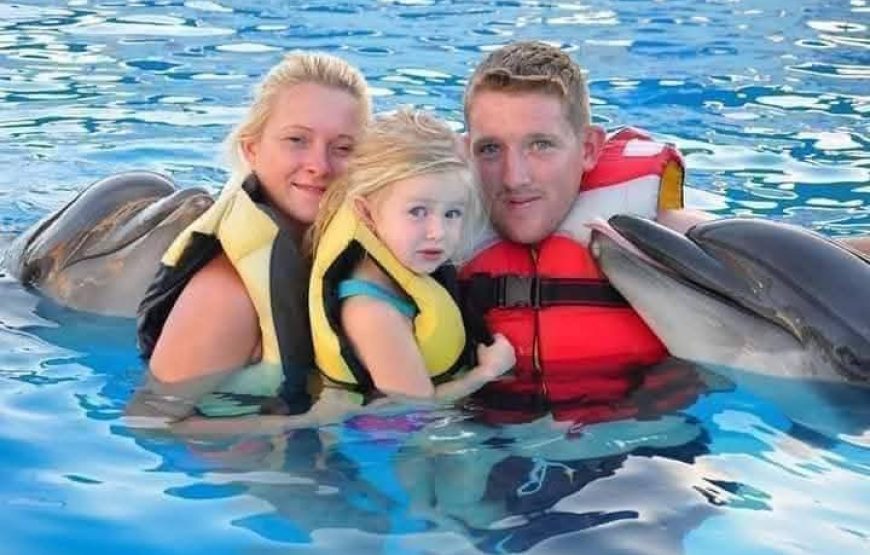 Dolphin Show – Sharm El Sheikh